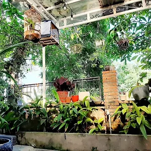 Bed & Breakfast Fika By Mottainaihoian - Vietnamese Only, Hoi An